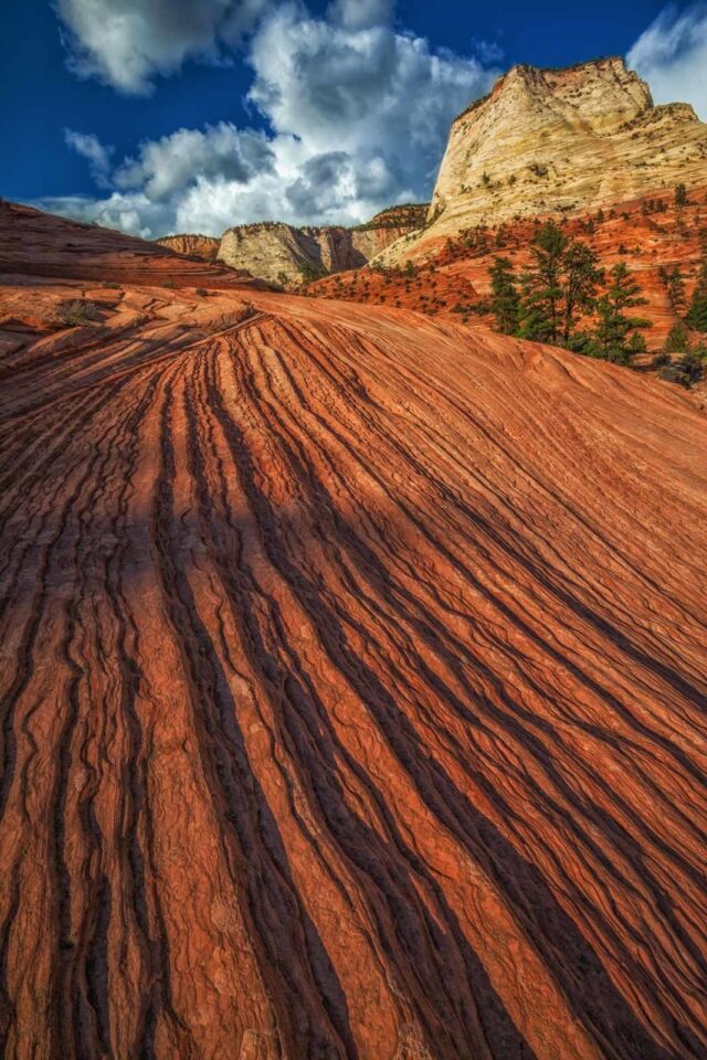 Mejores lugares para visitar en abril Parque nacional de Zion de EE.UU.