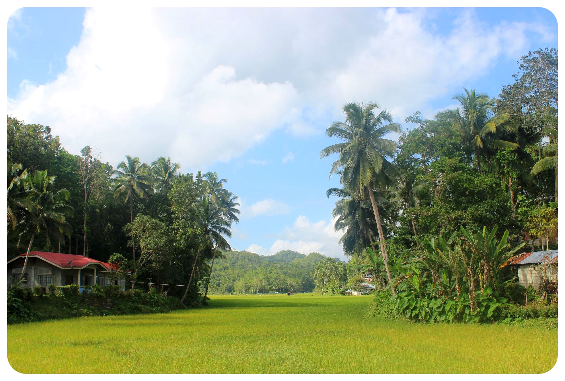 paisaje bohol