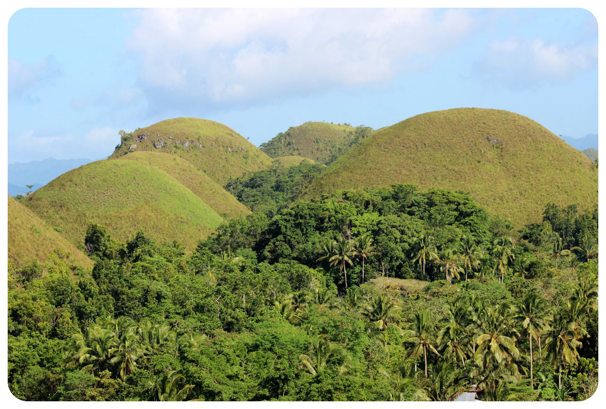 chocolate hills bohol