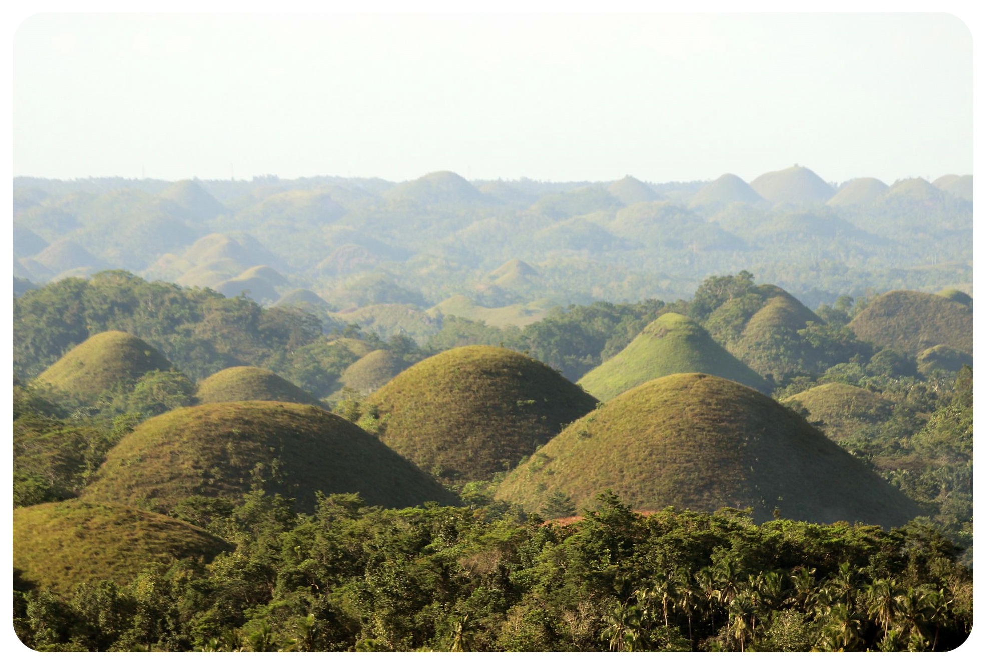 bohol chocolate hills