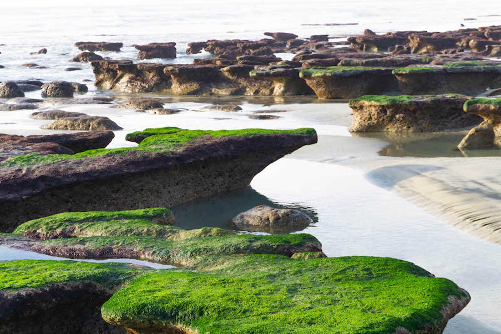 Las mejores cosas por hacer en la agrupación de mareas de San Diego