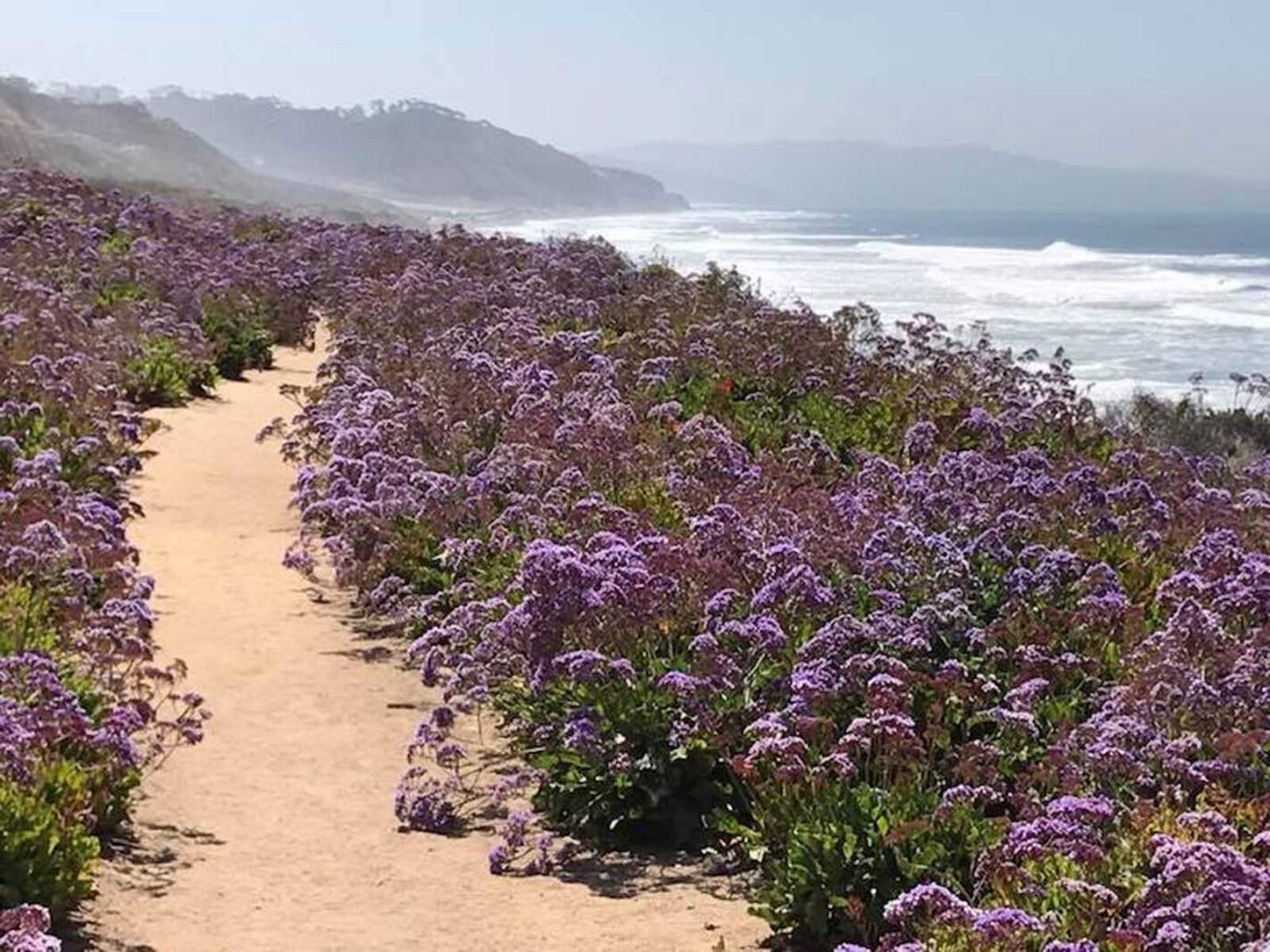 Las mejores cosas que hacer en San Diego Hike Torrey Pines