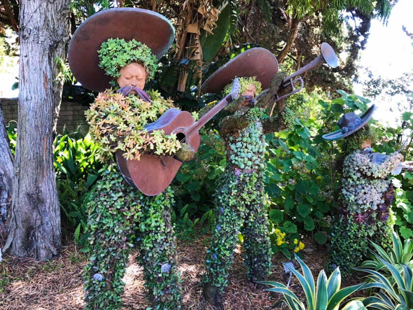 san diego cosas por hacer jardines botánicos