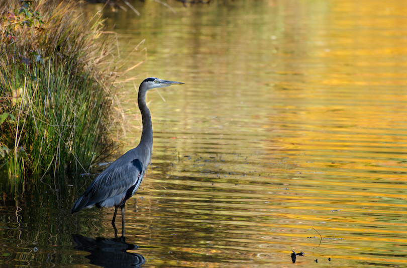 Sandy Creek Park