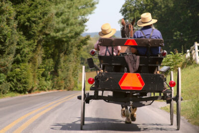 The Amish Farm and House