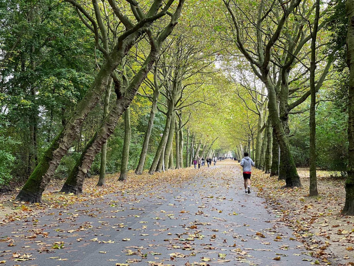 donde alojarse en Amsterdam Westerpark