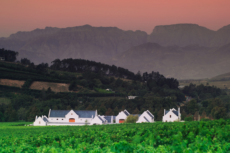 Cape Winelands