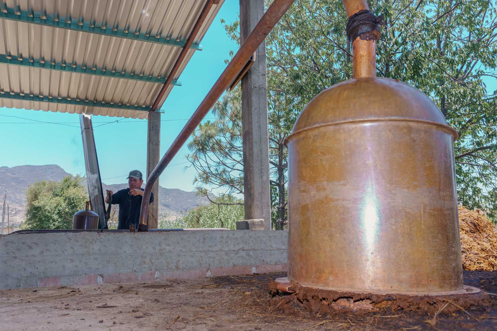 cosas por hacer en la destilería de mezcal de oaxaca