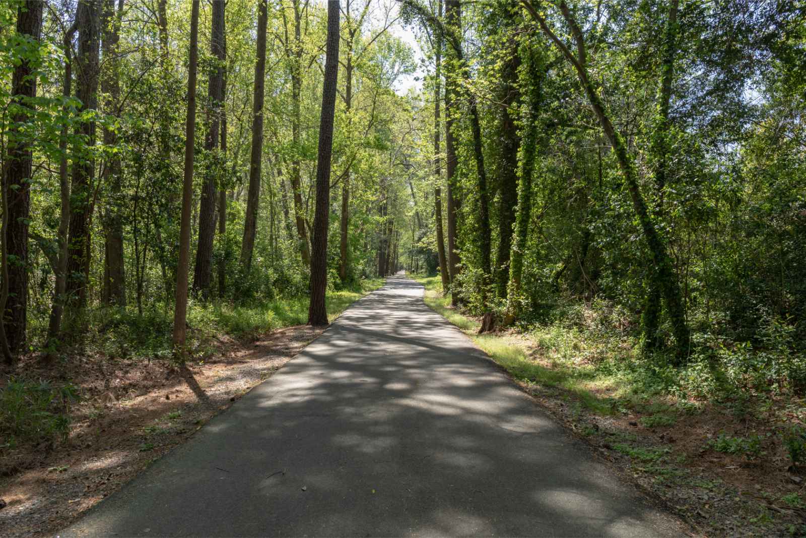 Qué hacer en Louisville Campbell-Woodland Nature Trails