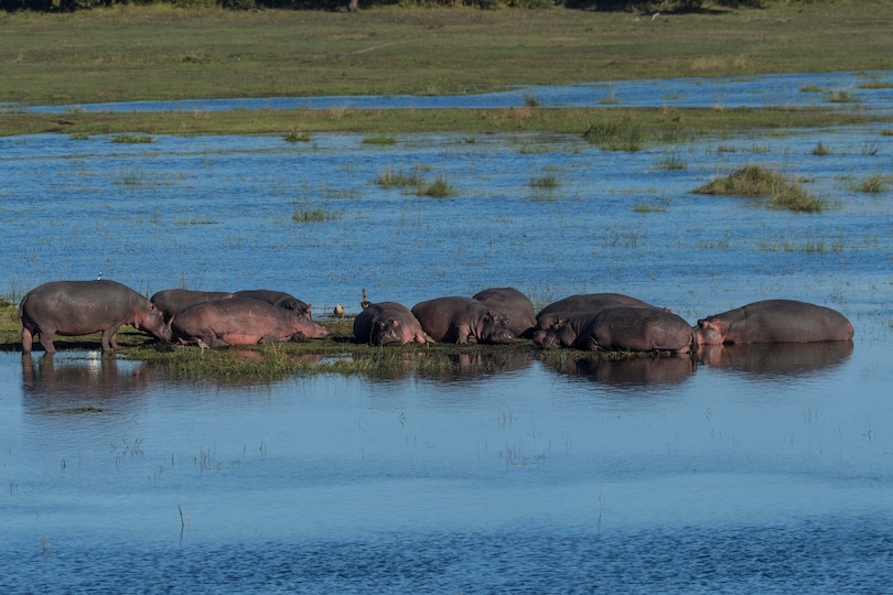 iSimangaliso Wetland Park