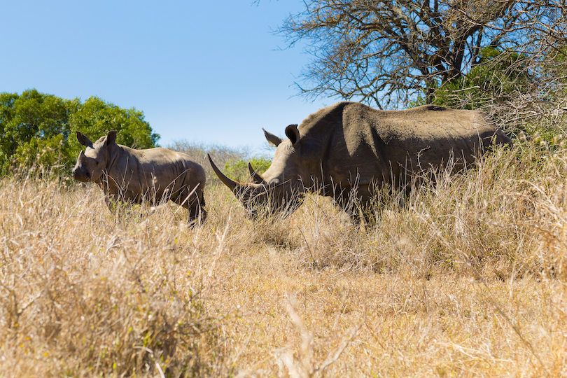 Reserva de caza Hluhluwe-Umfolozi