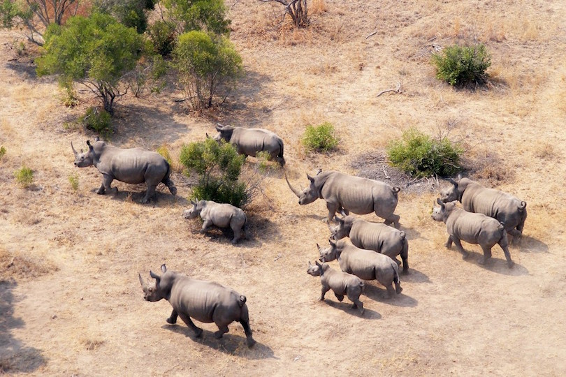 Parque Nacional Kruger