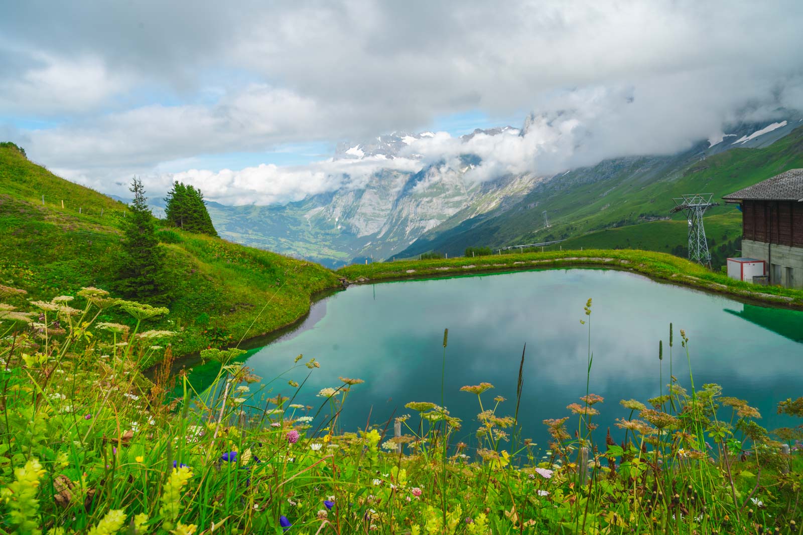 Las mejores cosas que hacer en Interlaken Fallbodensee