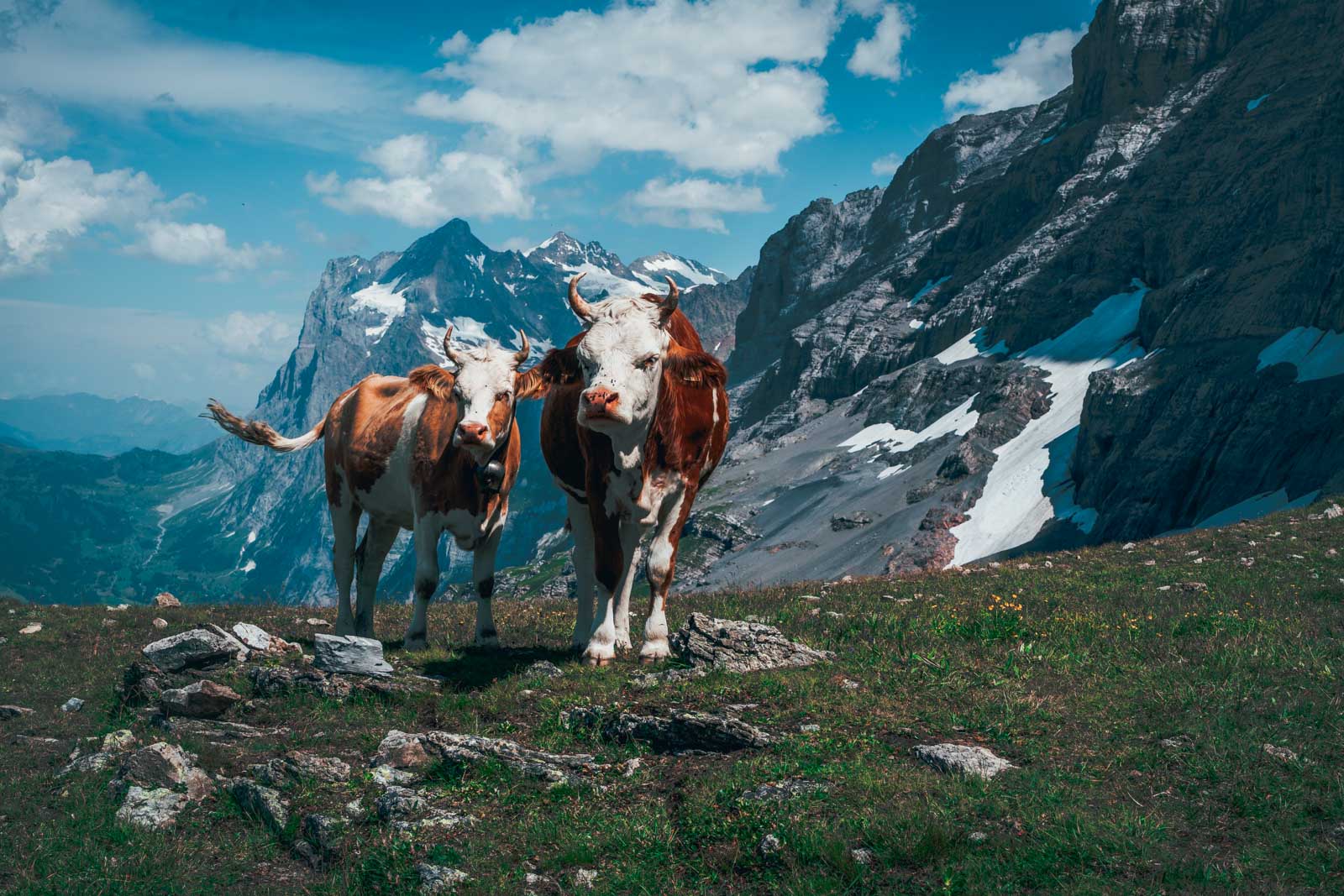 Las mejores cosas que hacer en Interlaken, consejos e información