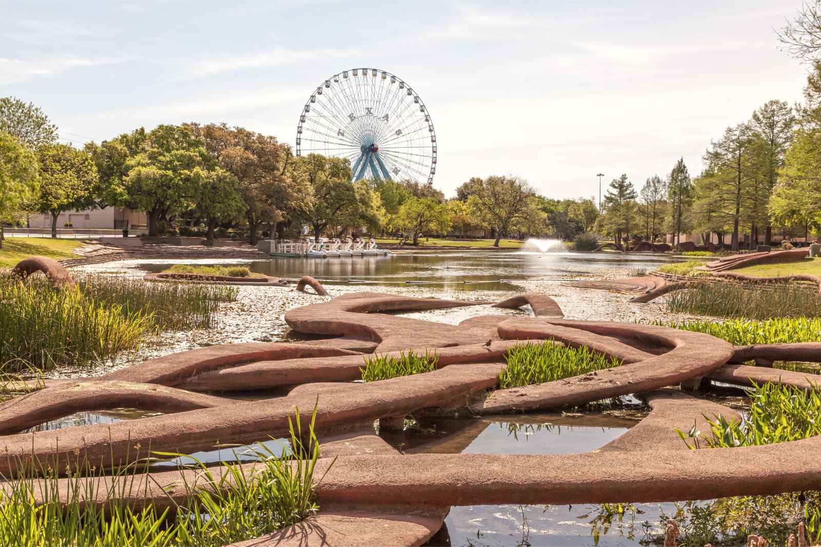 Las mejores cosas que hacer en Texas Historic Fair Park