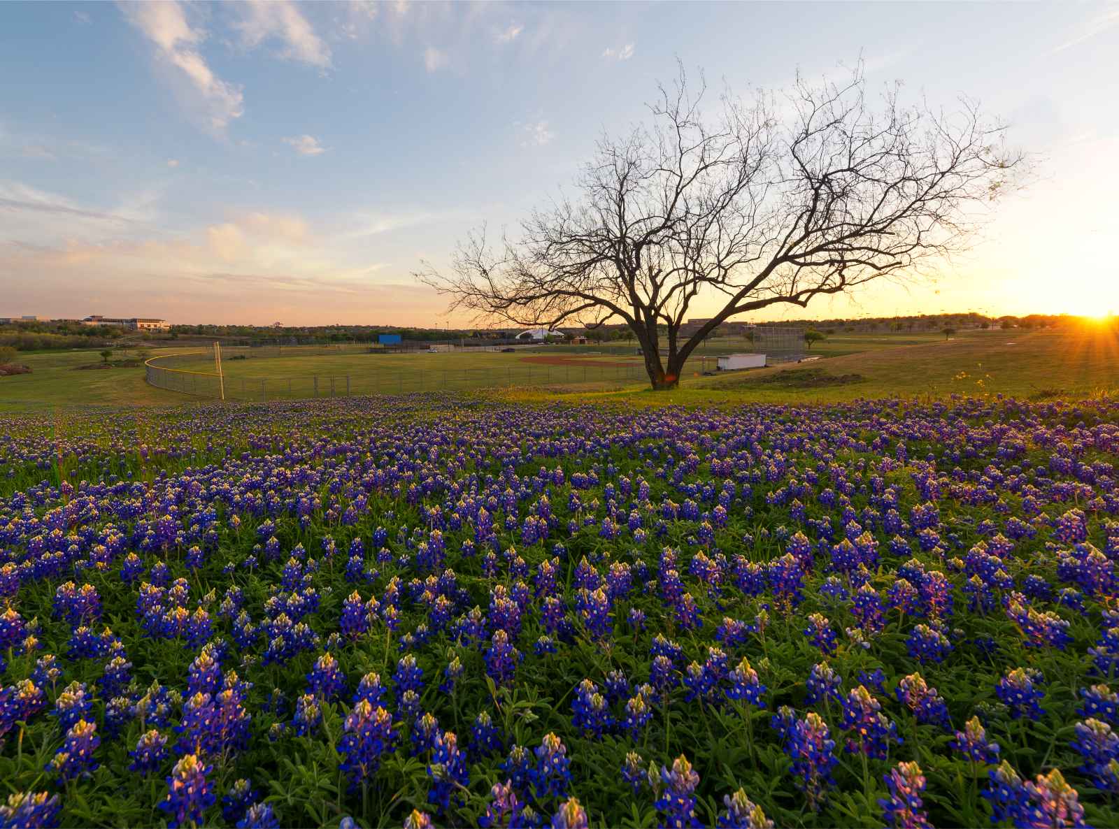 Las mejores cosas que hacer en Texas Consejos e información para visitar Texas