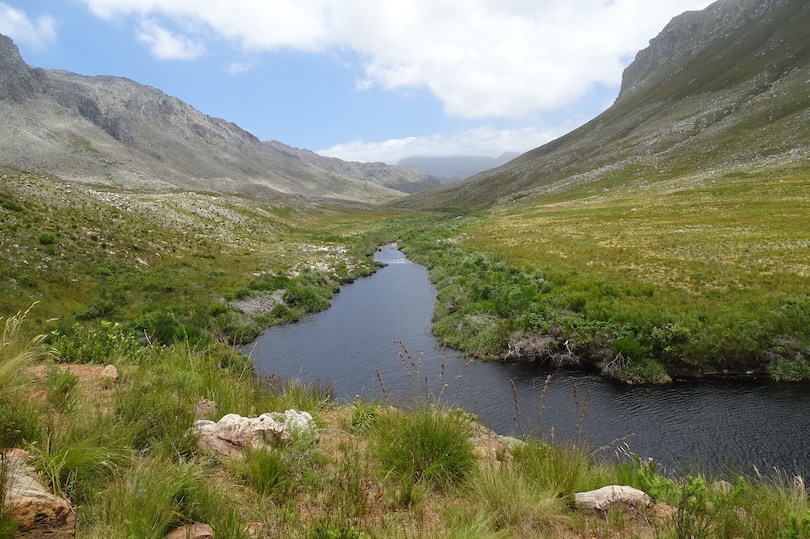 Sendero del río Palmiet