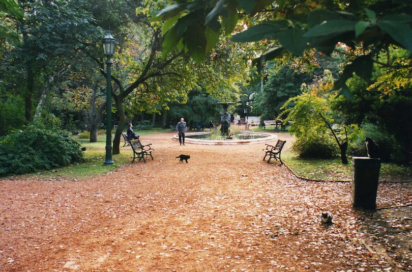 Jardín Botánico Carlos Thays