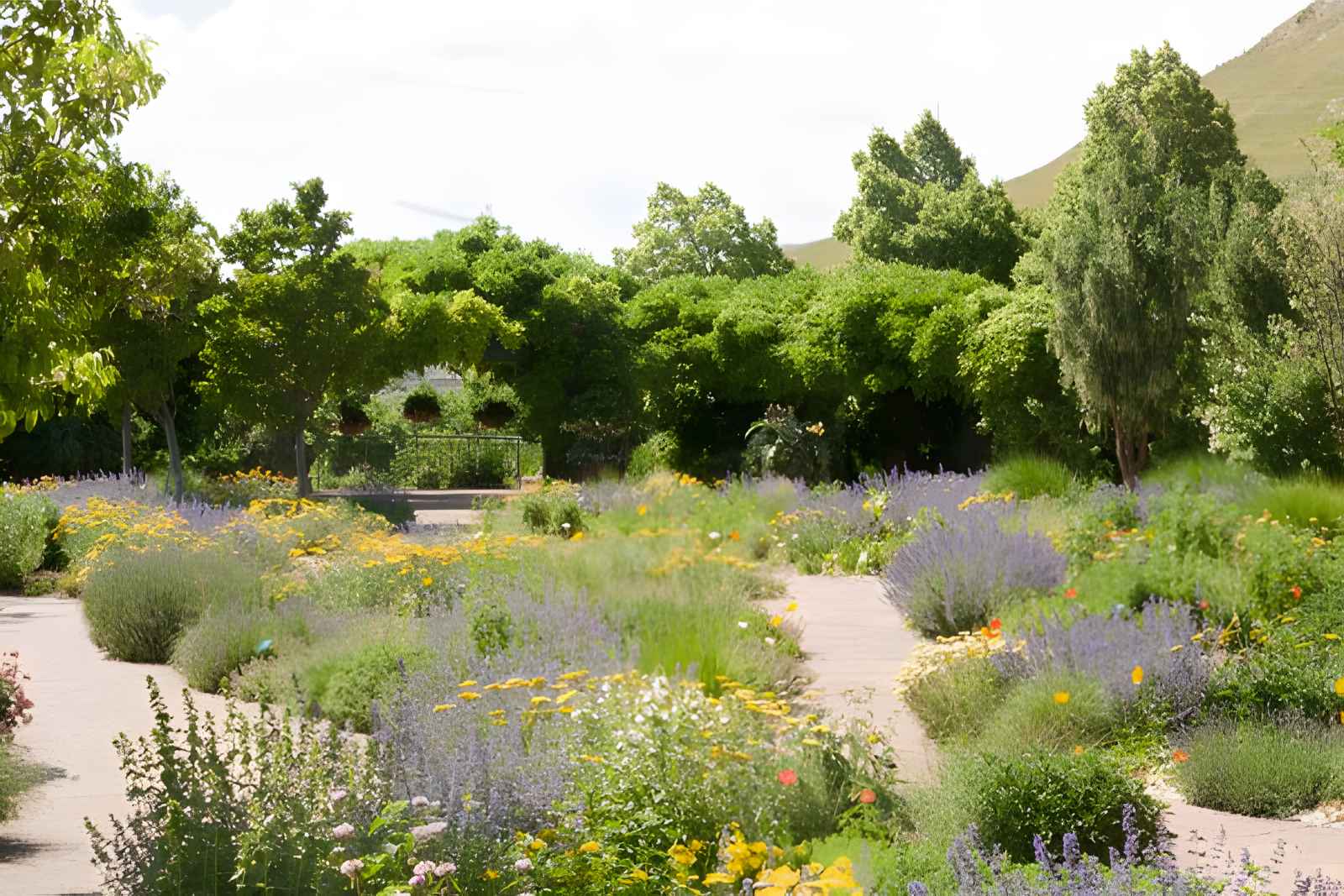 Qué hacer en Salt Lake City - Red Butte Garden 