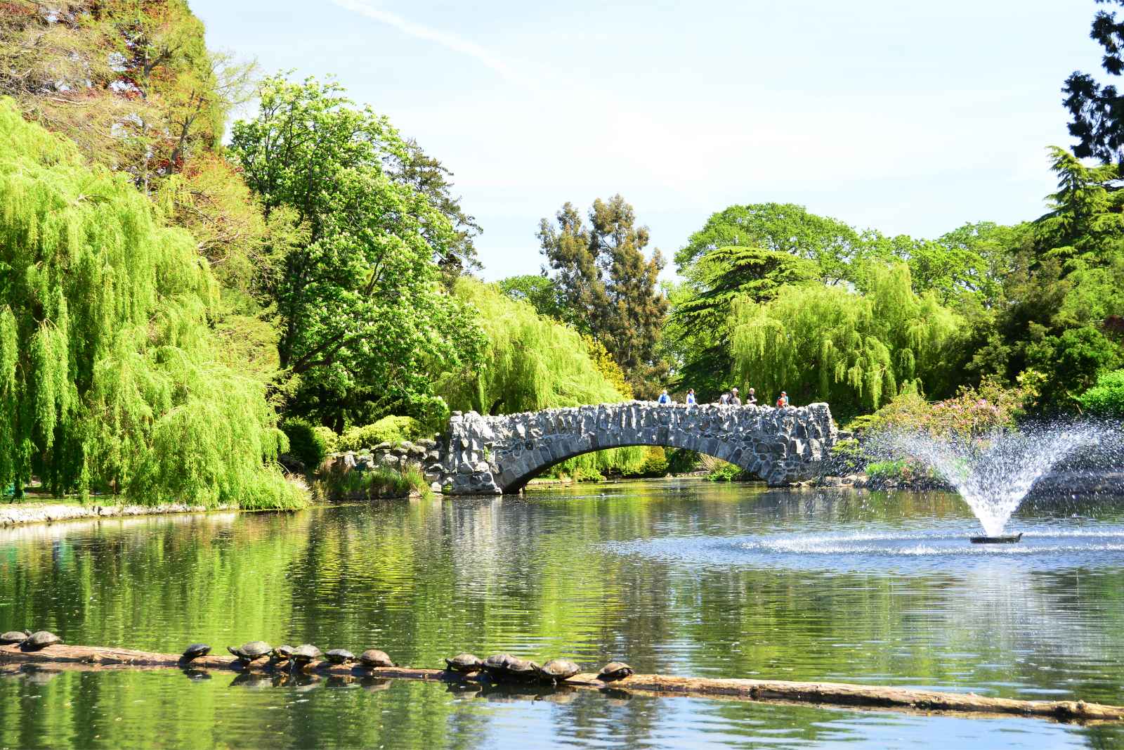 Qué hacer en Victoria BC Beacon Hill Park