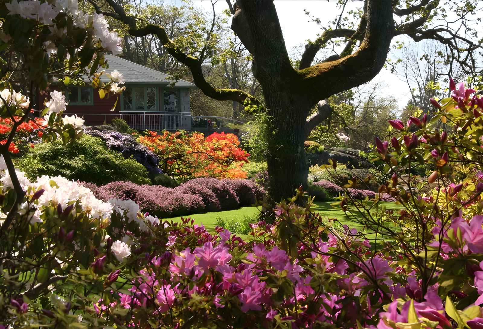 Qué hacer en Victoria BC Abkhazi Garden