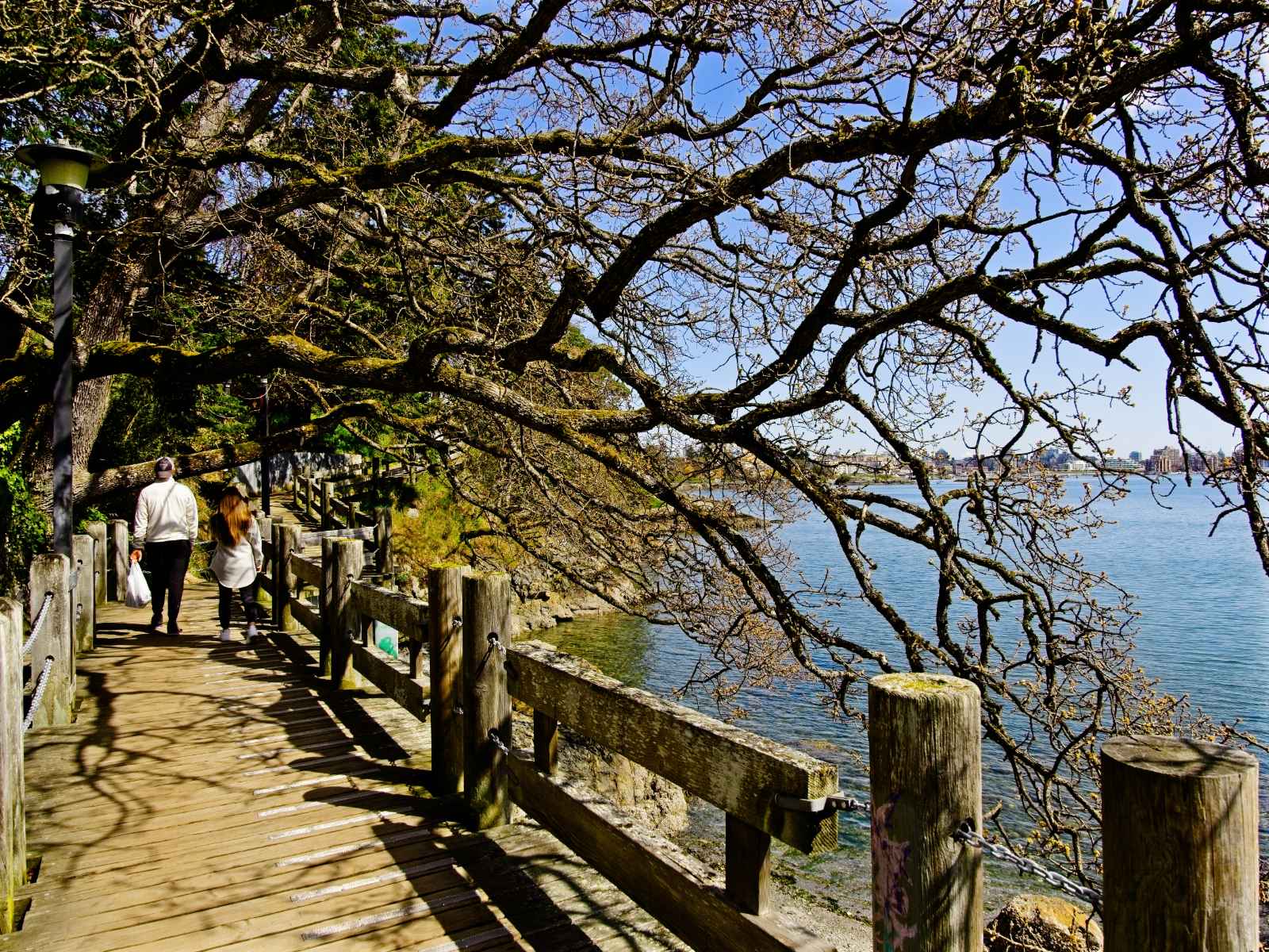 Qué hacer en Victoria BC Songhees Walkway