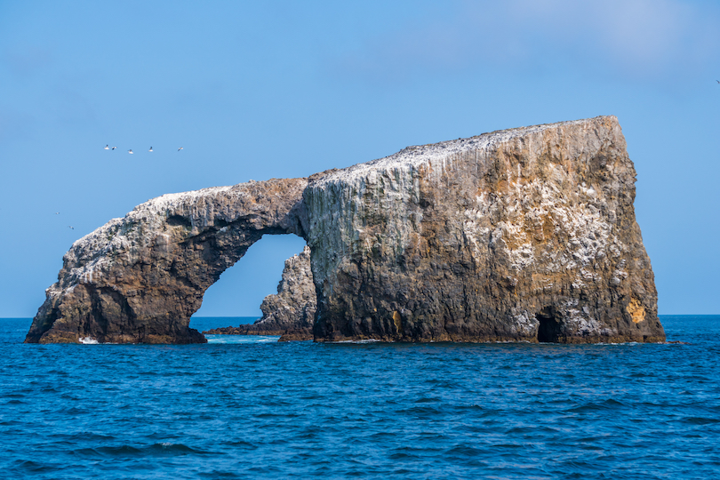 Parque Nacional de las Islas del Canal