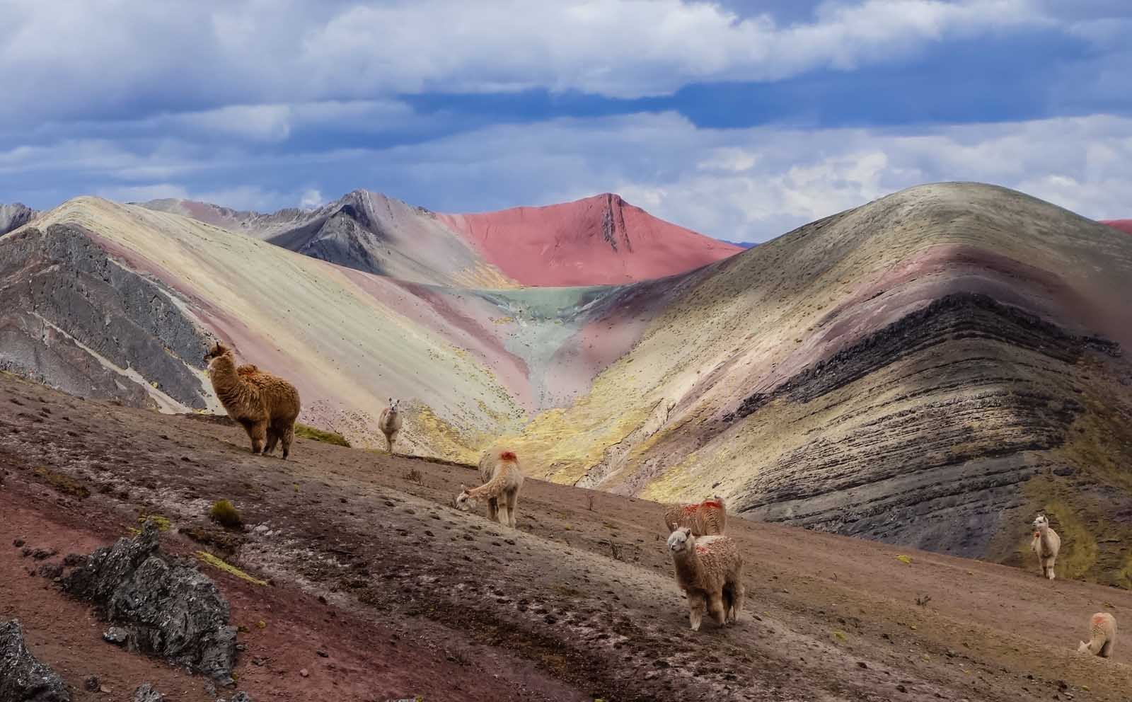 mejores cosas que hacer en cusco Palcoyo Monte de colores