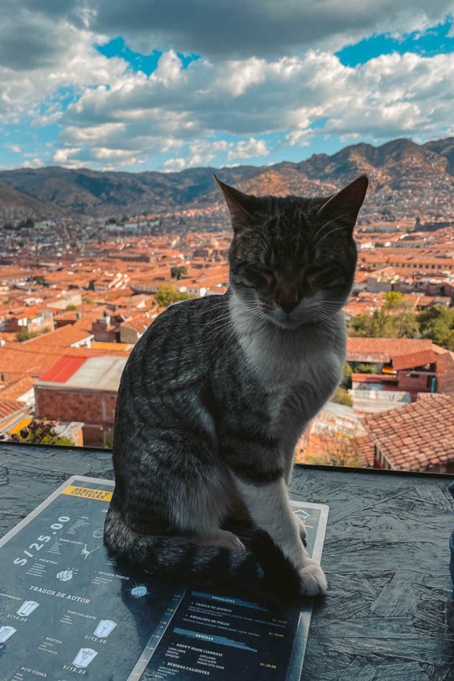 qué hacer en las vistas de la ciudad de Cusco