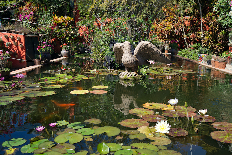 Jardín Botánico de Vallarta