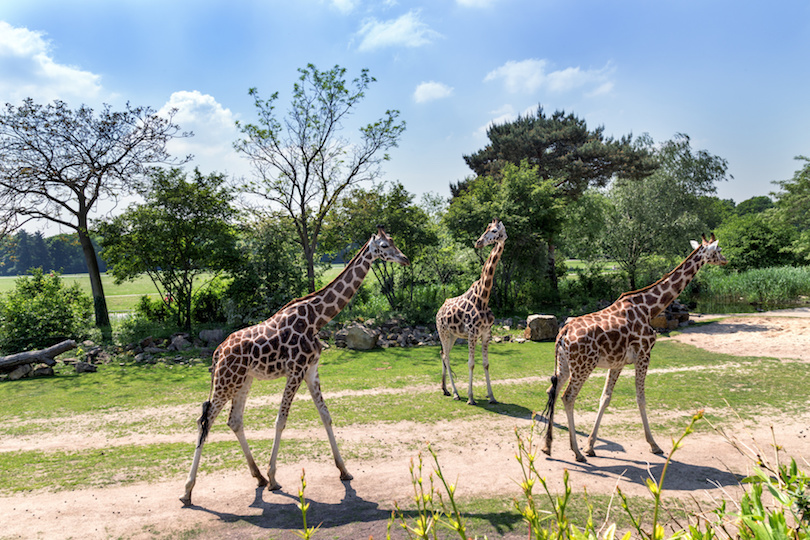 Zoo de Leipzig