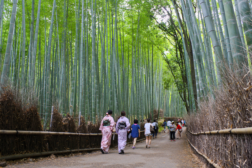 Bosque de bambú de Arashiyama