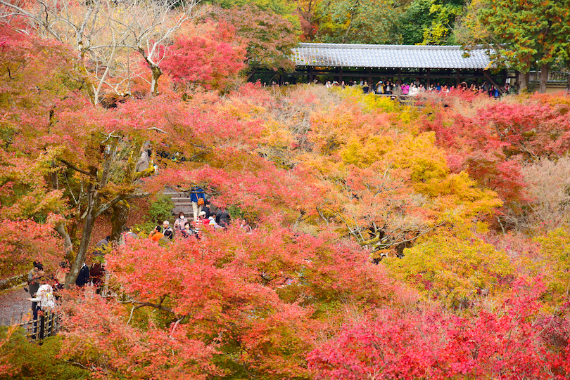 Templo Tofukuji