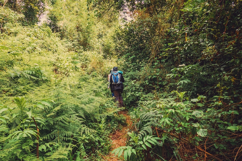 Parque Nacional de Aberdare