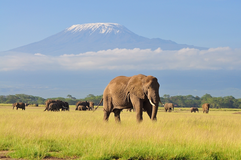 Parque Nacional de Amboseli