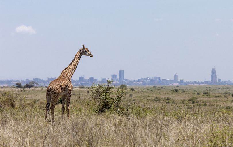 Parque Nacional de Nairobi