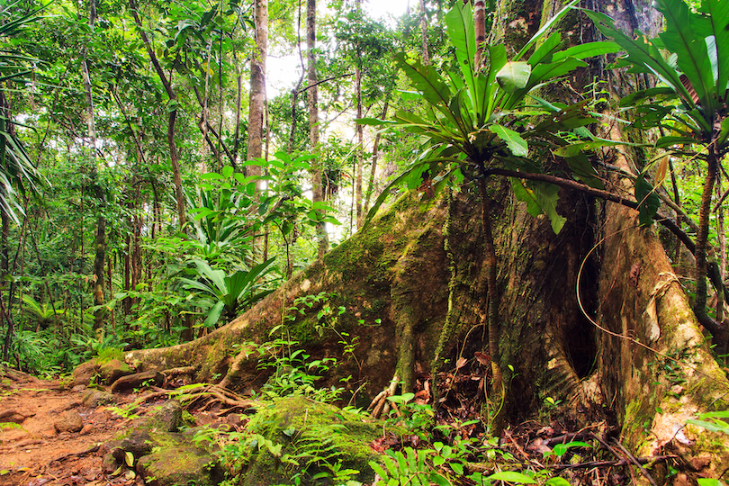 Parque Nacional Masoala