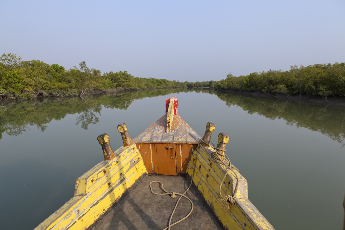 Viaje en barco a los Sundarbans