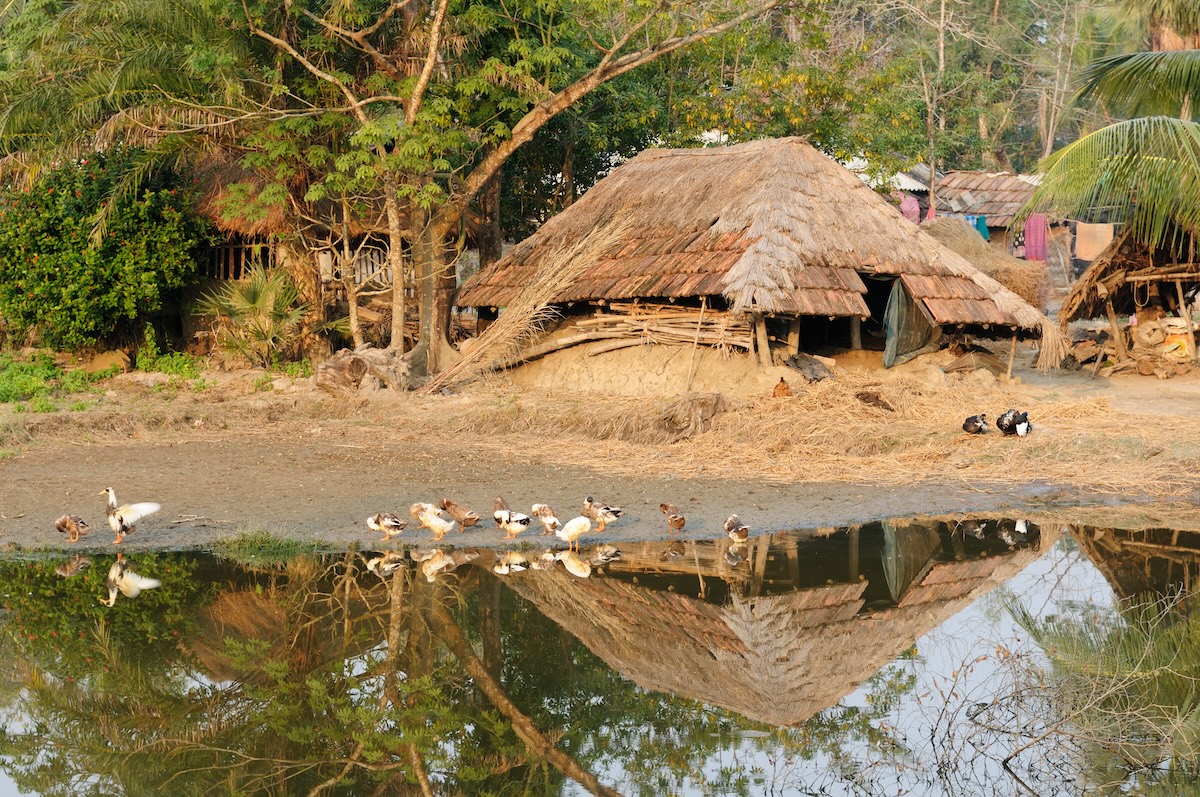 Sundarbanos