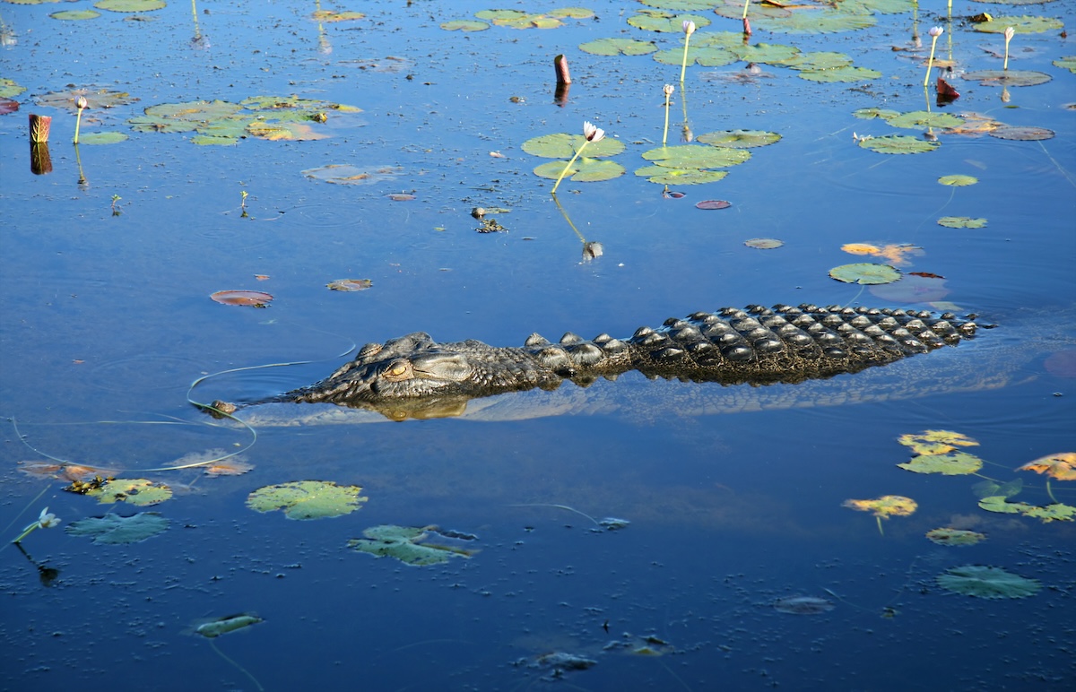 Parque Nacional Kakadu