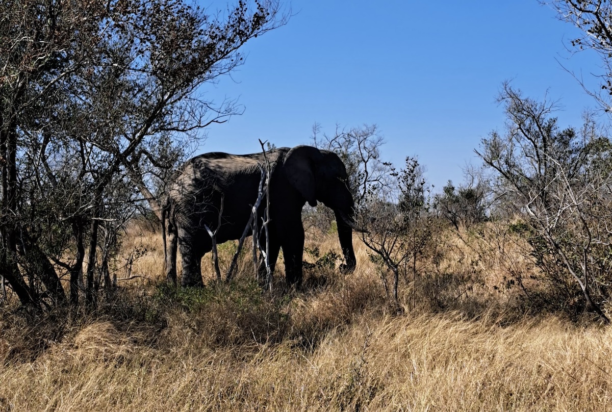 Parque Nacional Kruger