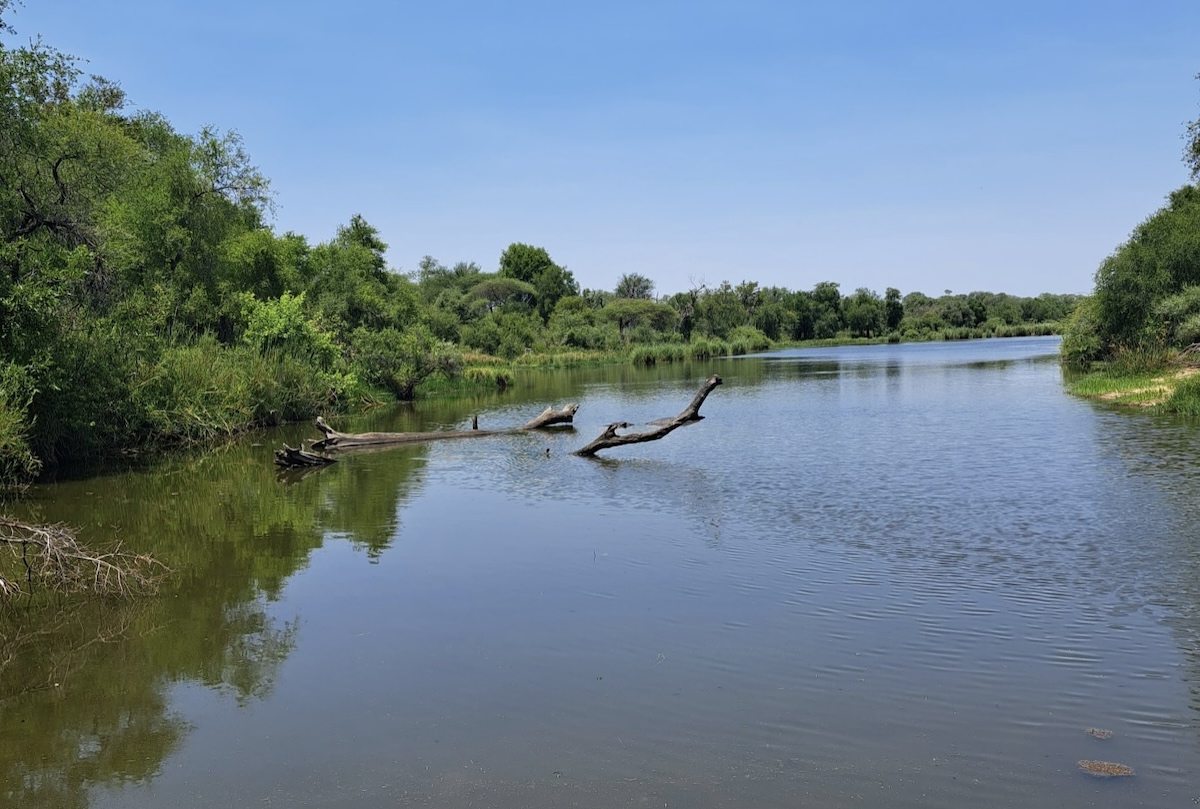 Lago Pánico