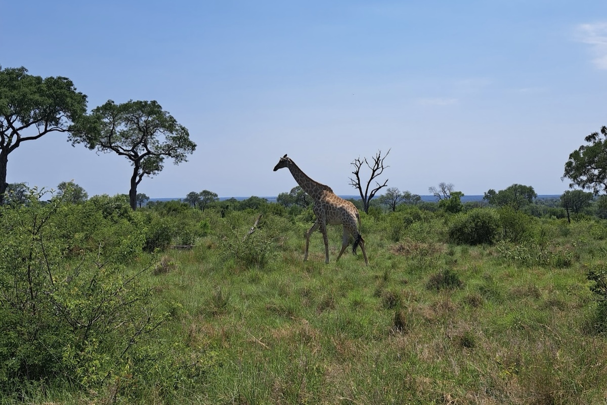 Parque Nacional Kruger