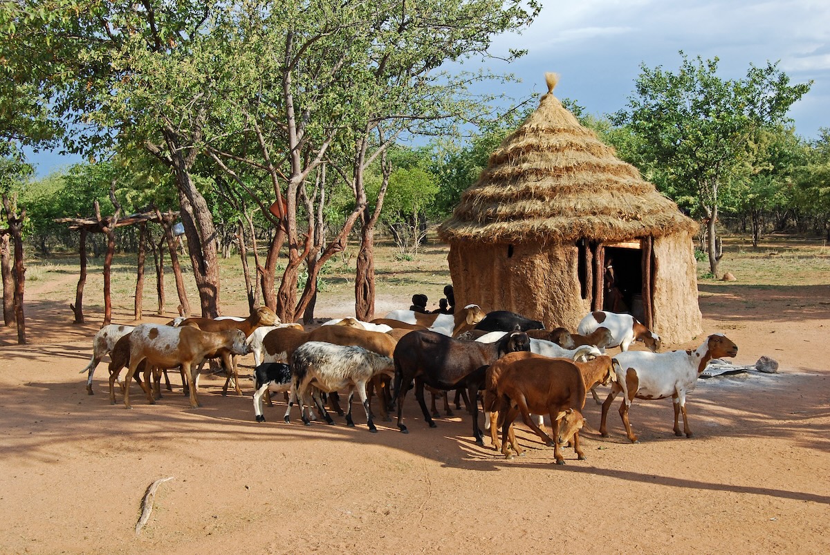 pueblo himba