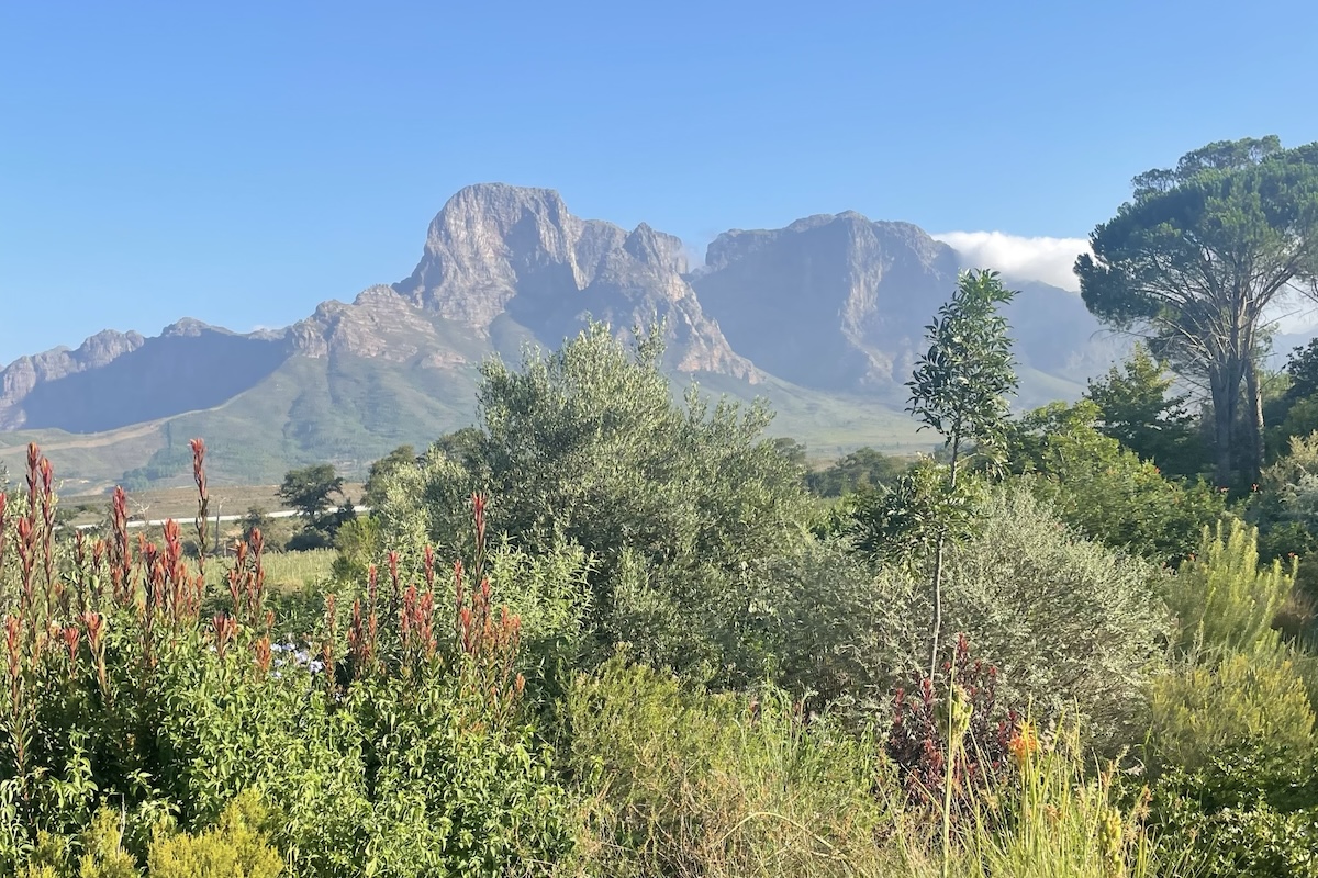 Vistas desde Boschendal