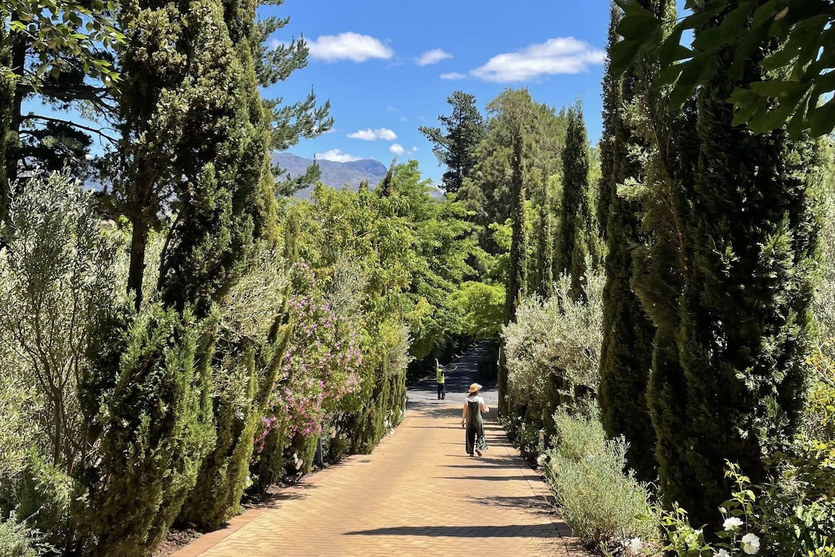 Los jardines de Franschhoek 