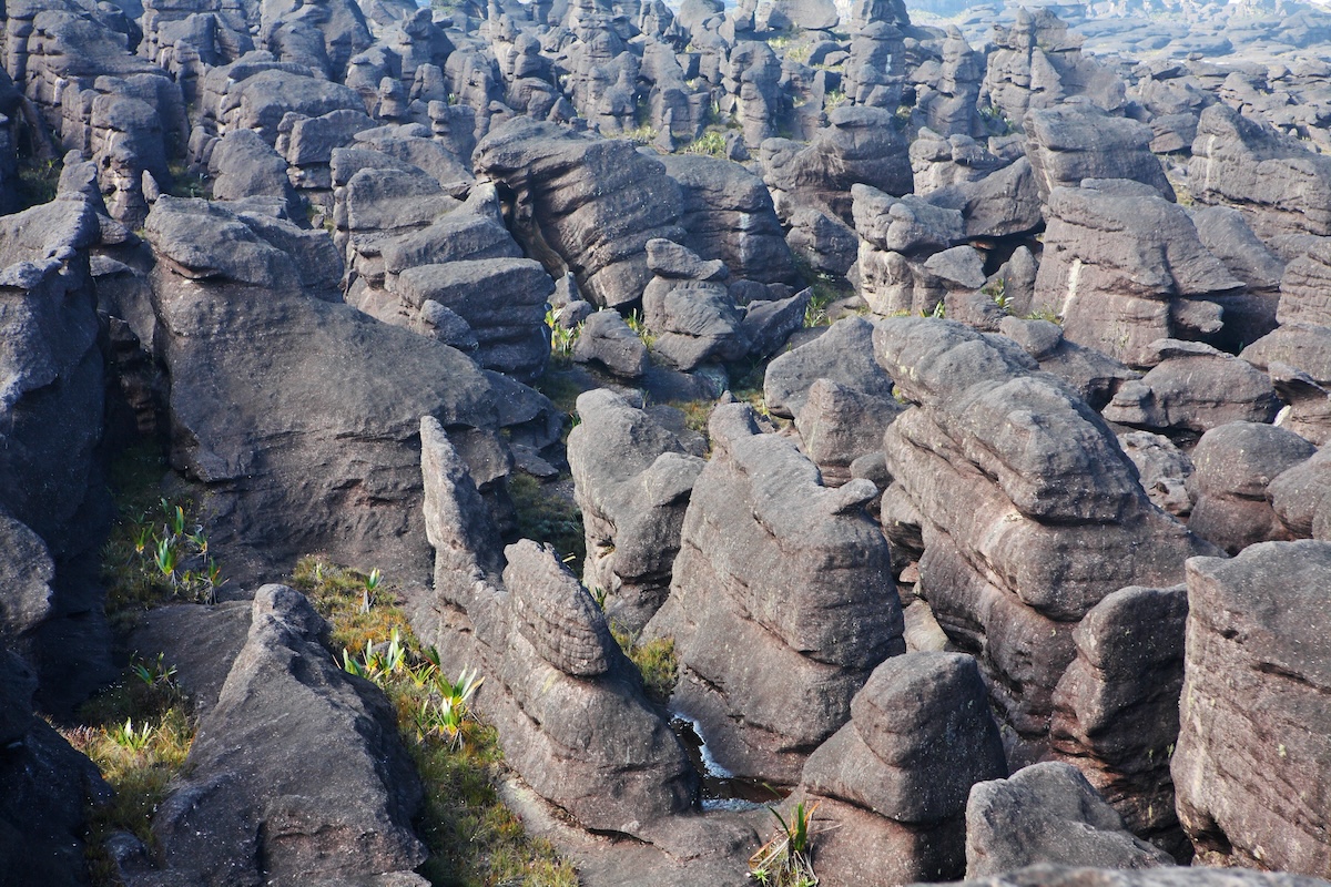 Monte Roraima