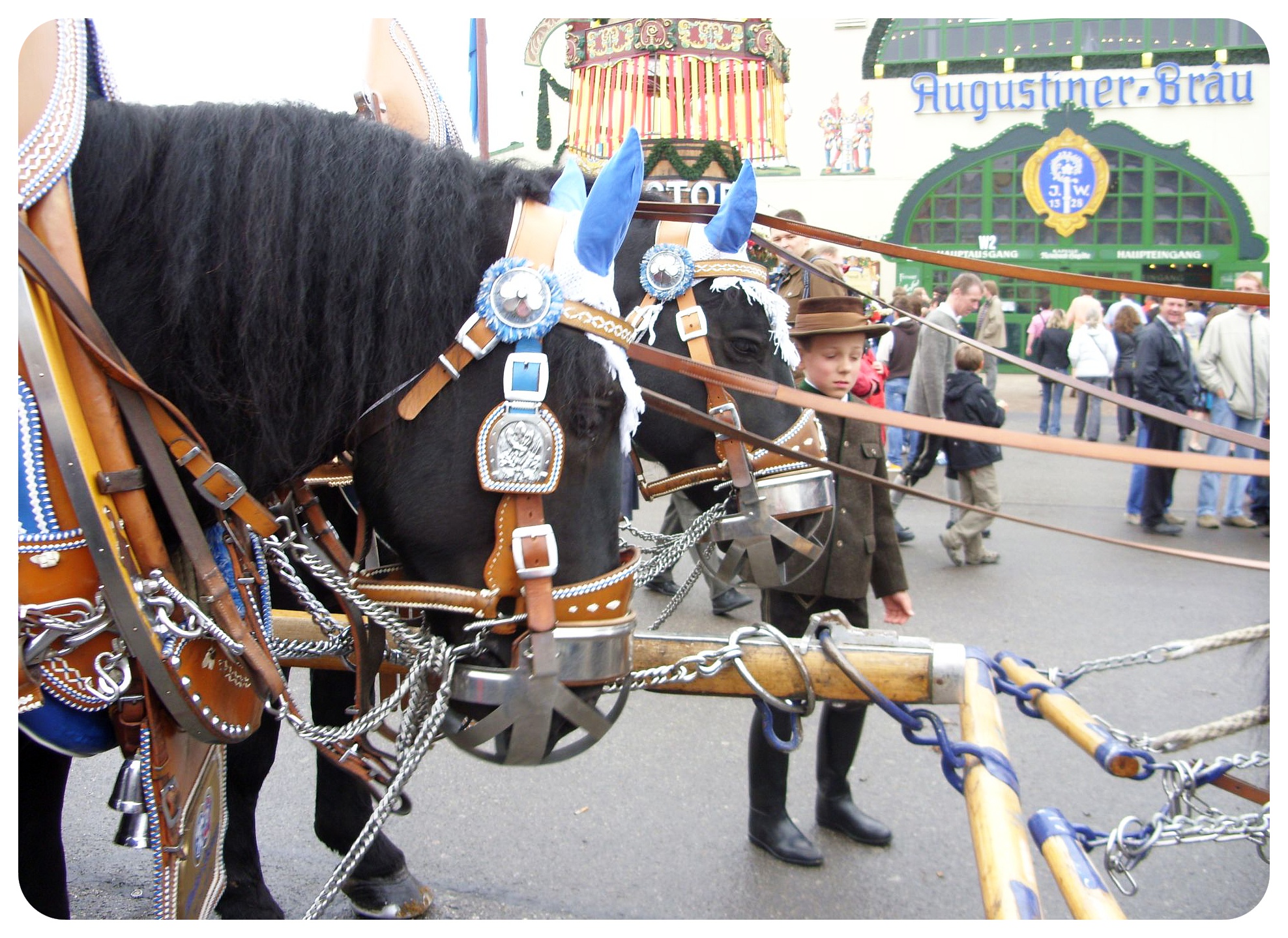 caballos del oktoberfest