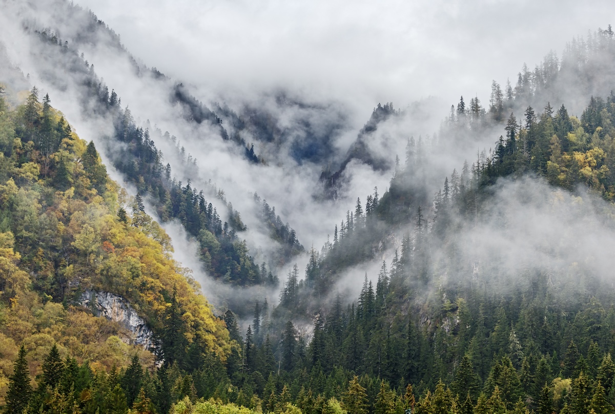 Montañas en la niebla