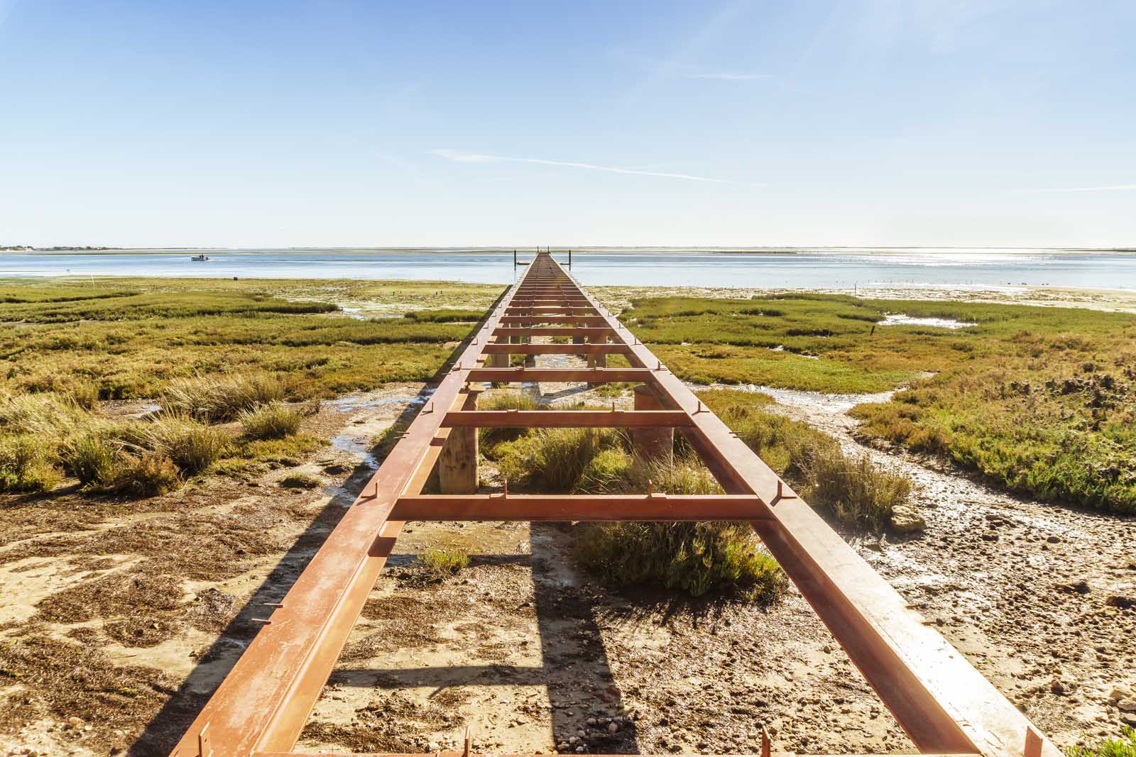 Las mejores cosas que hacer en el Parque Natural de la Ría Formosa del Algarve